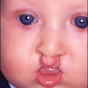 Meet your Posher, Liam